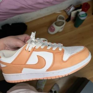 Harvest Moon Nike Dunks
